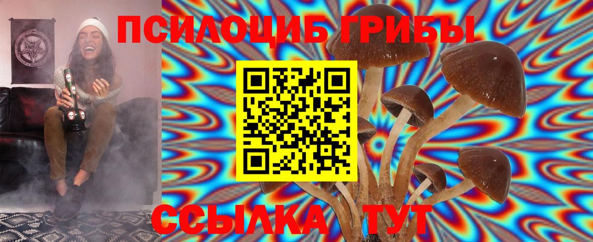 Гудермес  Галлюциногенные грибы Psilocybe  Вход с VPN  Галлюциногенные грибы Psilocybine cubensis 