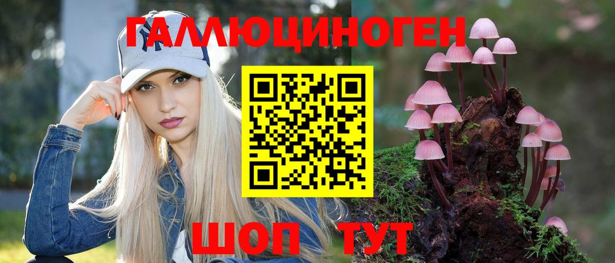 Галлюциногенные грибы Psilocybine cubensis Гудермес
