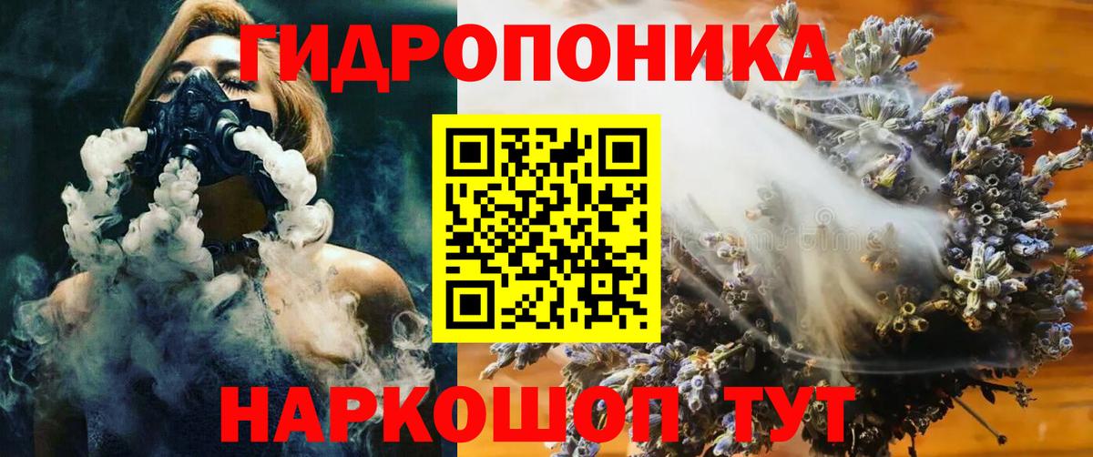 Бошки марихуана семена  Бошки марихуана OG Kush  Марихуана MAZAR  Гудермес  Вход с VPN 